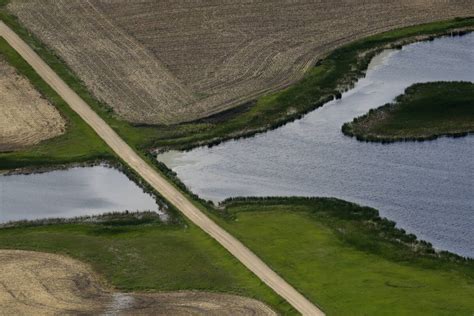 Supreme Court limits federal power over wetlands, boosts property rights over clean water